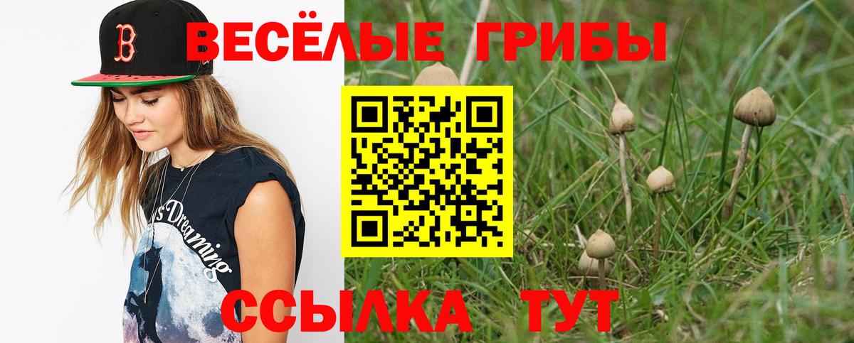 Галлюциногенные грибы MAGIC MUSHROOMS Улан-Удэ